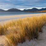 Beach scene with beach grass, sand, water, and mountains